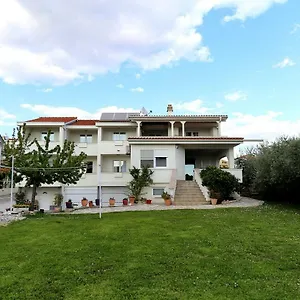 Micic Zadar